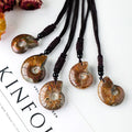 Wholesale Natural Mineral Specimens Colourful Sea Snail fossil Conch Necklace Pendant