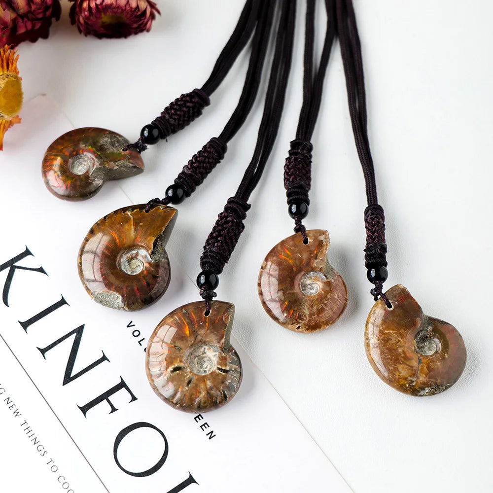 Wholesale Natural Mineral Specimens Colourful Sea Snail fossil Conch Necklace Pendant
