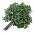 High Quality Silk Tree Leaves Artificial Green Leaves for Wedding Decor