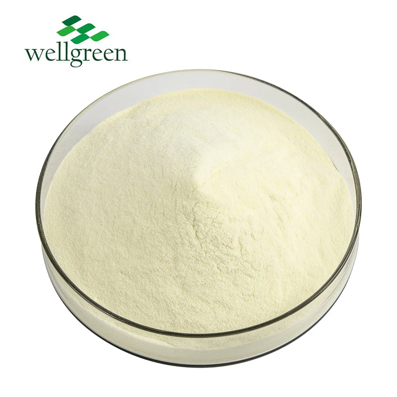 Wellgreen Bulk Food Supplement Lecithin Ingredient Natural Sunflower Lecithin
