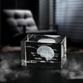 3D Human Brain Crystal Cube Laser Engraved Science Gift Anatomical Paperweight