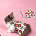 Wholesale Stocked Harness Dress Rear Walking Rabbit with Rope