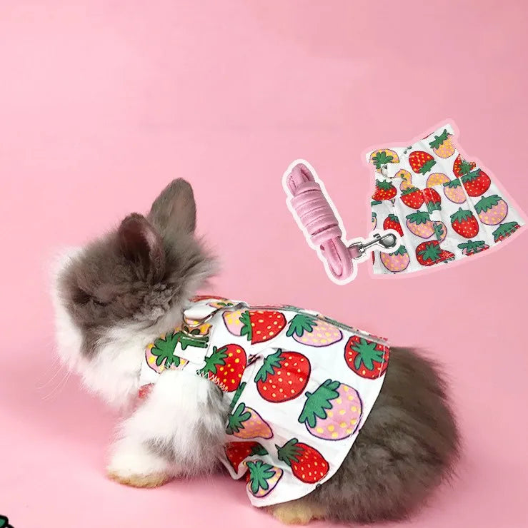 Wholesale Stocked Harness Dress Rear Walking Rabbit with Rope
