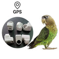 Bird GPS Tracker GPS Tracking Foot Ring for Bird Outdoor Flying