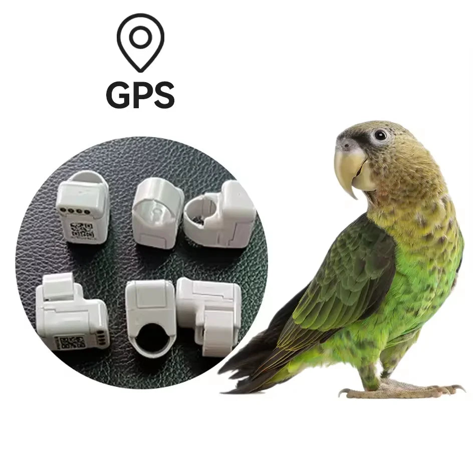 Bird GPS Tracker GPS Tracking Foot Ring for Bird Outdoor Flying