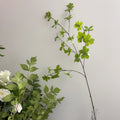 Vv238 High Quality Artificial Plants Decorative Artificial Green Plant PE Branches Wedding Hotel Living Room Flower Arrangement