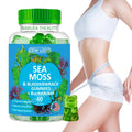 Sea Moss Gummies Green Apple Flavor 60 Pieces Jamaican Seamoss Gummies Supplement for Immune Booster