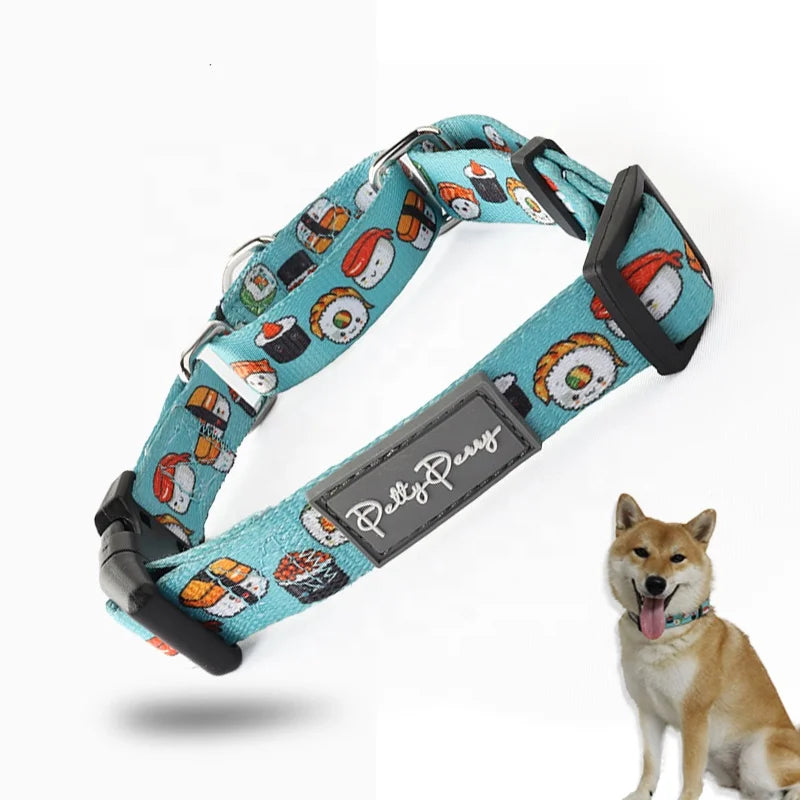 Waterproof Quick Release Chain Hardware Free Martingale Collar Dog Walking Hiking Training