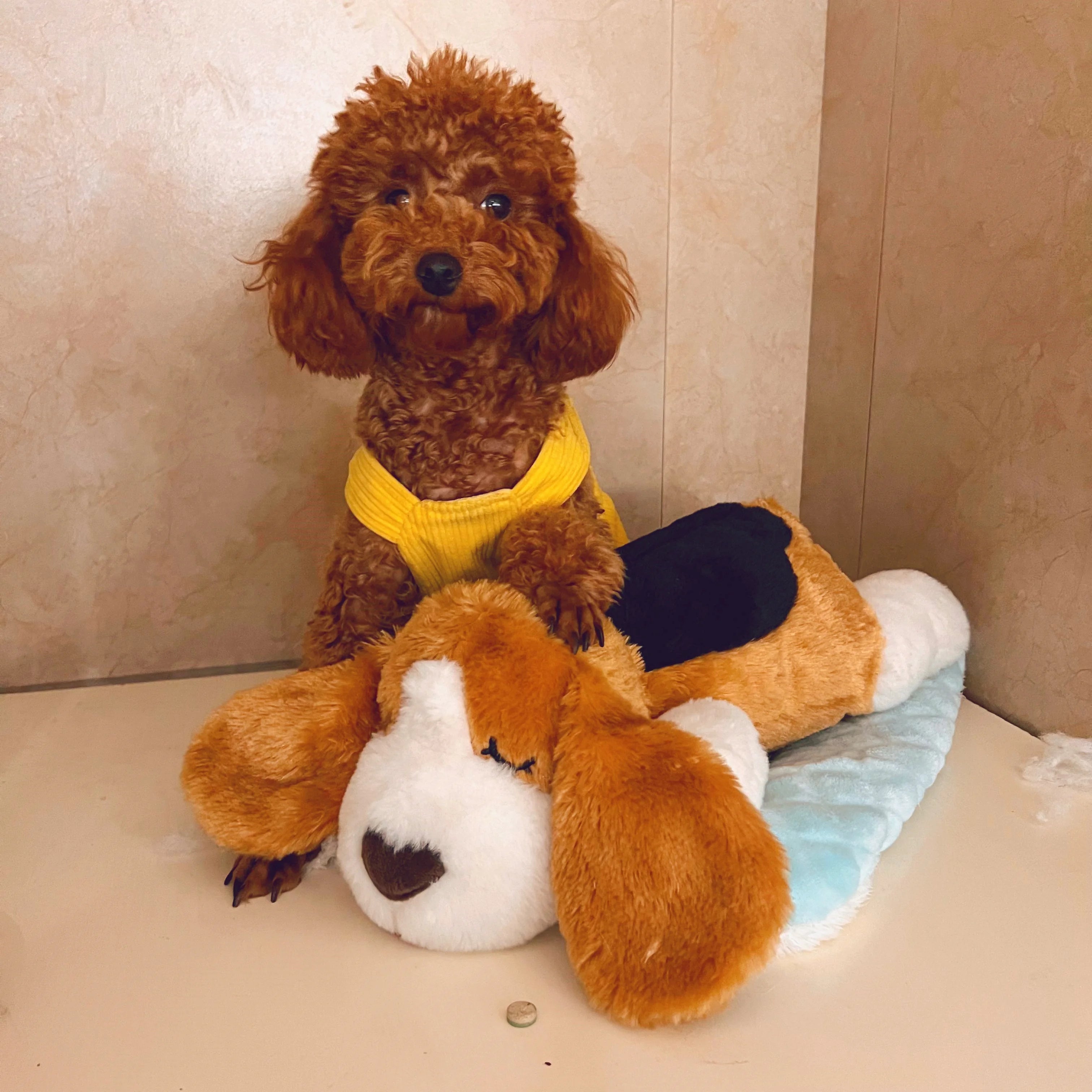 Christmas Plush Heartbeat Toy for Dogs & Cats Cozy Sleep Aid Calming Companion Behavior Training - All Breed Sizes