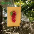 Cobertor De Vid Bolsa De Uvas Fresh Fruit Grow Paper Bag Insect Grape Protection Bags