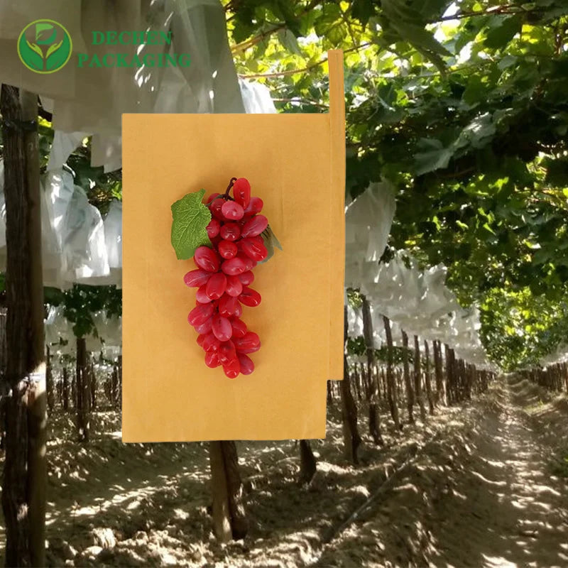 Cobertor De Vid Bolsa De Uvas Fresh Fruit Grow Paper Bag Insect Grape Protection Bags