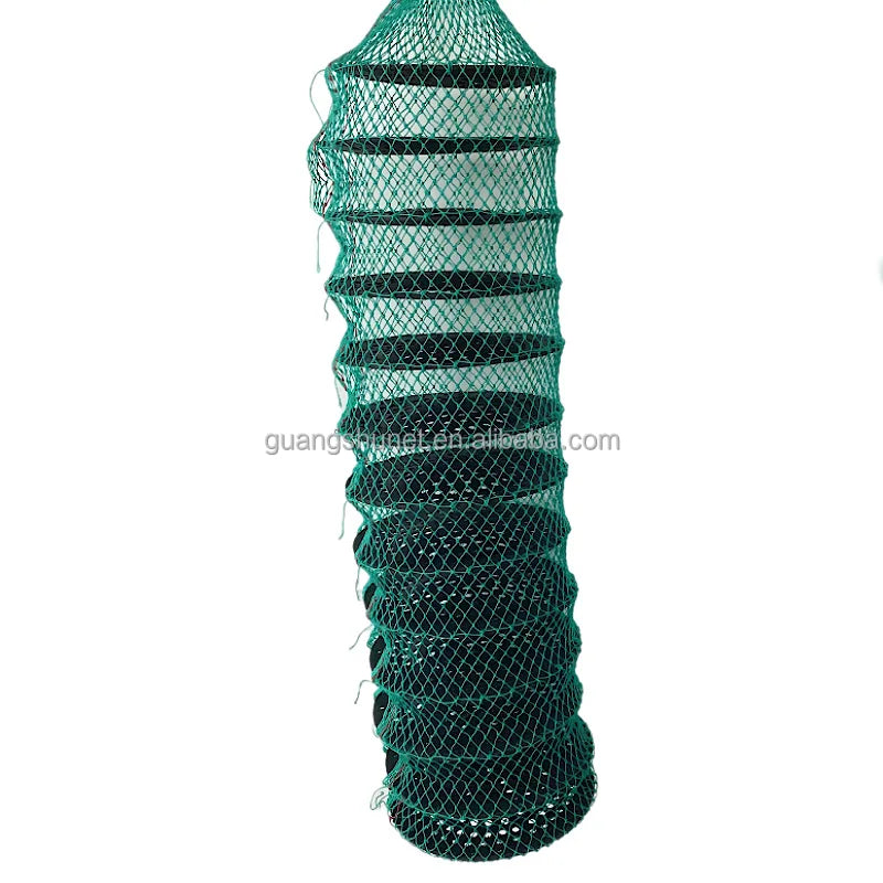 Multiple Story Storage Compartments Can Be Used for Cropping Excess Scallops Lantern Net