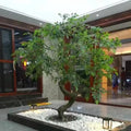 Customized 3m Fiberglass Artificial Pine Trees Plastic Decorative Fiberglass Christmas Trees