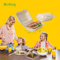 BioKing High Quality Takeaway 8x8 Inch Disposable Food Container Take Out to Go Box Biodegradable Meal Bagasse Clamshell