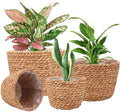 Hand Made Woven Eco Linen Flower Macrame Plants Straw Seagrass Plant Basket for Indoor Outdoor Planter