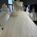 White Modern Ball Gown Wedding Dress XS004 Beautiful Princess Long Sleeves Sweetheart Neck Tiered Glitter Lace Mother Bride