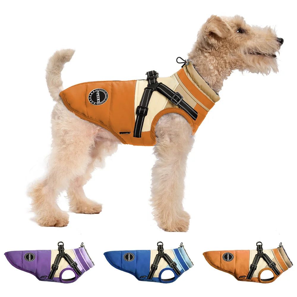 New Arrival Designer Waterproof Dog Jacket Wholesale Pet Harnesses and Clothes Fashionable Water Proof Coat for Dogs