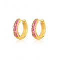 2023 New Fashion Earrings Jewelry 925 Sterling Silver Multi Color Zirconia Earrings Gold Plated Hoop Earrings Women Jewelry