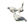 Inflatable EVA Foam Canadian Goose Decoy Duck Hunting Decoy