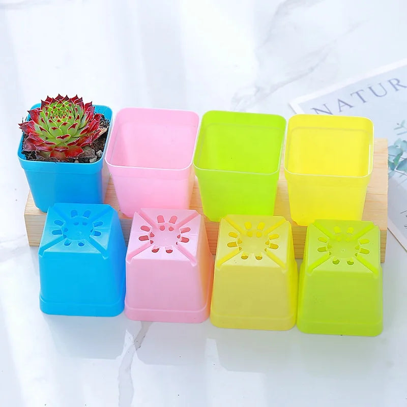 Garden Supplies Nursery Pots 2 Inch Plant Pot Plastic Nursery Seedling Pots Factory Wholesale Cheap Square Plastic Purple Carton