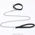 Stainless Steel Chain Pet Leash Accessories Dog Training Hiking Dog Leads Chain Leash