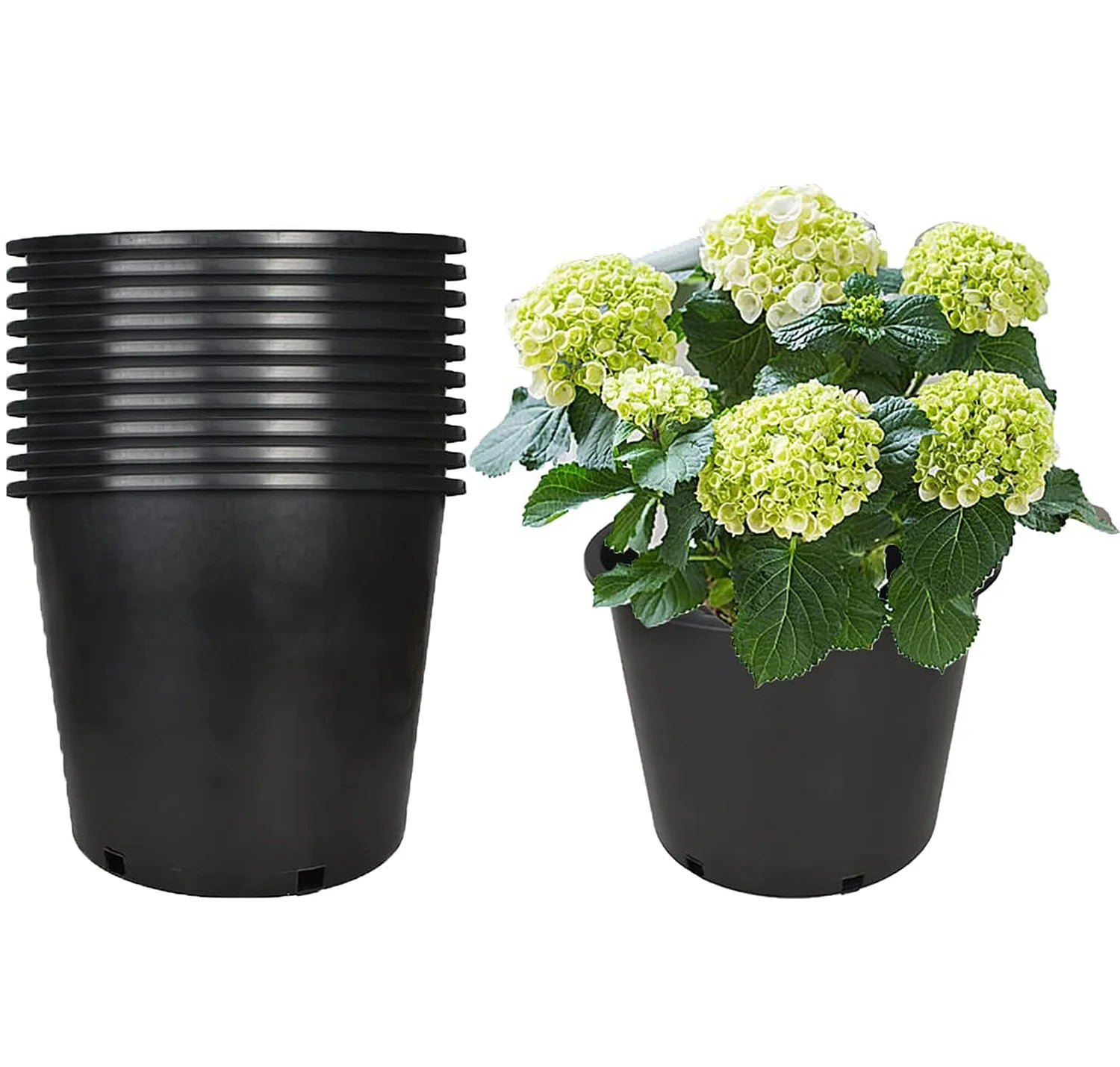 Plant Pots 6 Inches Plastic Pots for Plants Flower Pot with Drainage Hole and Tray