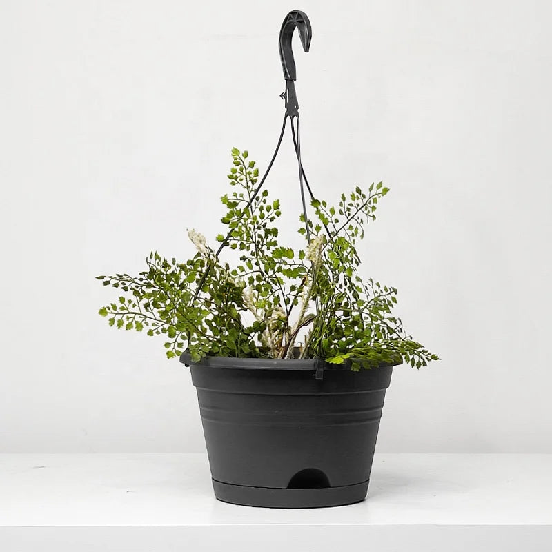 Cheap Wholesale Garden Supplies Hanging Hanging Baskets Self Watering Planters