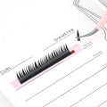 PRAECLARUS Natural Wet Look Individual Eyelash Extensions Private Volume Eyelashes