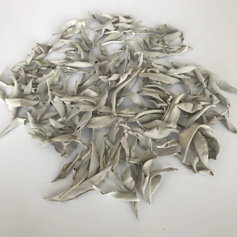 I001 Shu Wei Cao Bulk Natural Products 100g Per Bag Dried White Sage Leaves for Incense