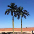 Factory Wholesale Custom 3m 4m 5m 6m 7m 8m 9m 10m 15m 20m Wind Resistant Big Coconut Fake Outdoor Large Artificial Palm Tree