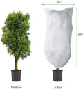 Factory Price Agriculture Greenhouse Covering Tnt Plant Cover Non Woven Winter Fleece Frost protection