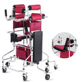 Rehabilitation Training Equipment Walking Aid Elderly Stroke Hemiplegia Walker For Disable