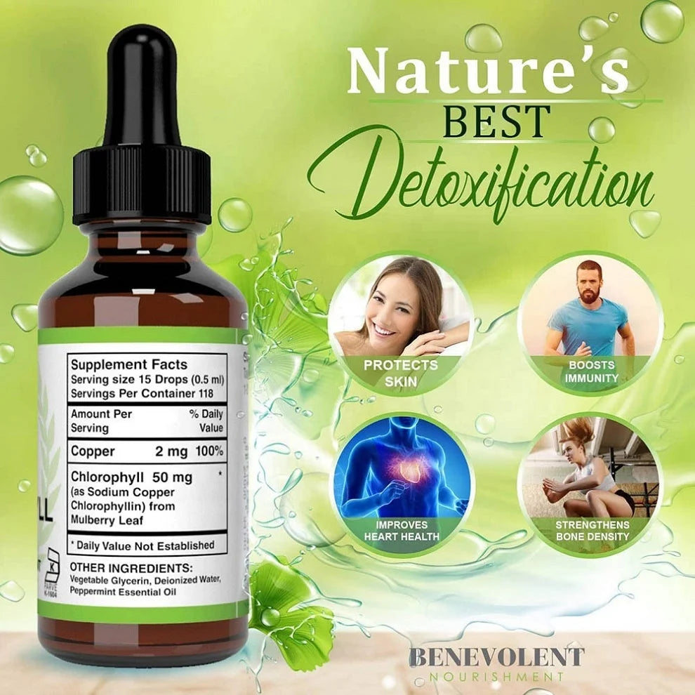 Oem Odm System Supports Splina Chlorophylle Liquide Drop Best Organic Chlorophyll Liquid