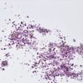 Wholesale Natural Rose Quartz Amethyst Rock Crystals Stones Gravel Tumbled Stone