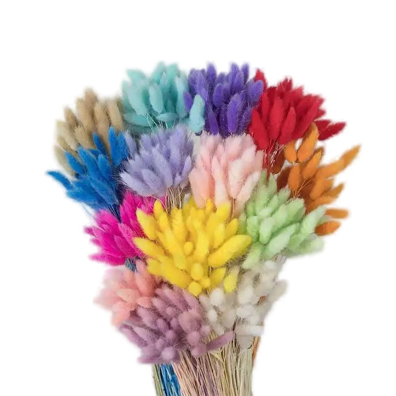 Wholesale 60pcs Bunnytail Dried Flower Bouquet Eternal Life Flower Cake Decoration Dried Flowers