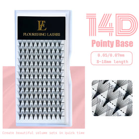 Promade Handmade 14D Fan Lashes with Pointy Base Premium Quality Korean PBT Fibers 12 Rows Eyelashes extensions