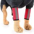 Pet Knee Pads Dog Support Brace for Right Left Leg Hock Joint Wrap Breathable Injury Recover Legs Dog Protector Support