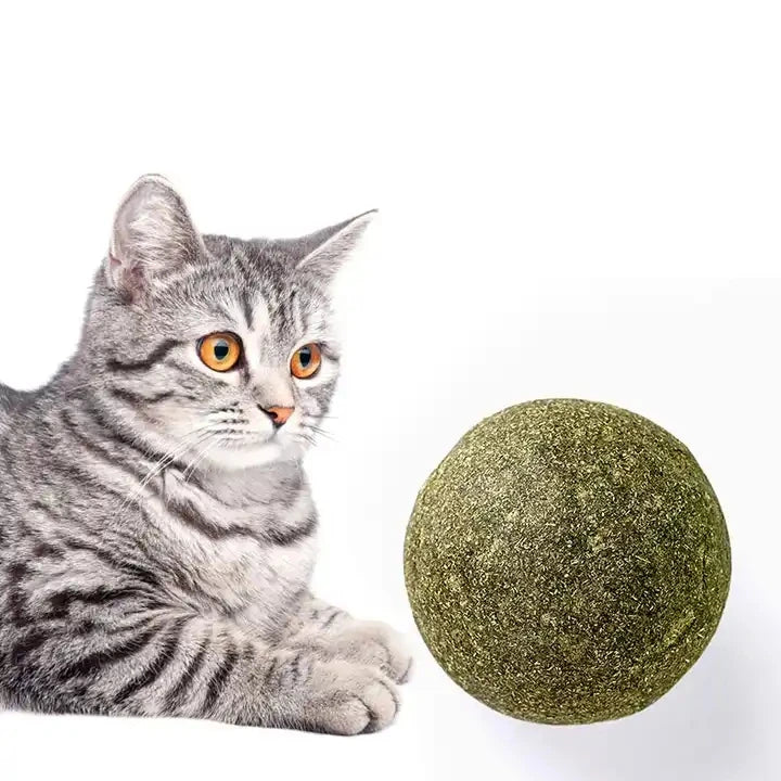 New 10cm Cats Catnip Ball Sucker LickToys Catnip Sugar Balls Cat Toys Interactive Ball Large Insect Gall Fruit Cats Mint Toy