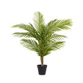 GS03-08001A Wholesale Factory Price Ombre Kwai Fishtail Palm Dypsis Lutescens
