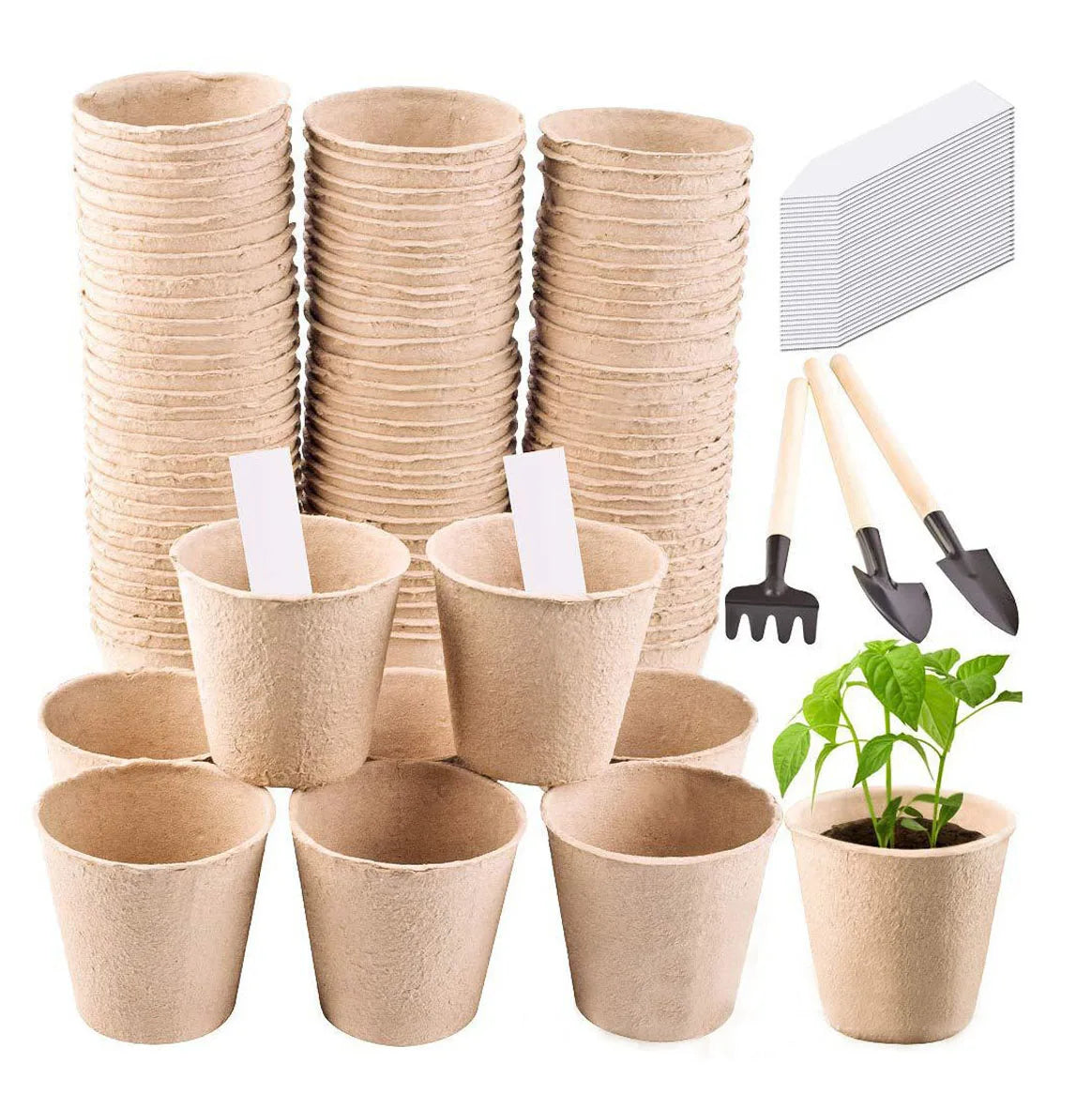 Round Square Biodegradable Paper Pulp Cup Fibre Seed Starter Tray Plant Grow Tray for Home Garden Seedling