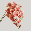 Wholesale 3D9 Head Faux Phalaenopsis Real Touch Faux Phalaenopsis Flowers Faux Wedding Birthday Decoration