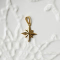 18K Gold Plated North Star Pendant Necklace Stainless Steel Pole Star Charm Travel Jewelry for Women Gift