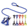 Wholesale Pets Accessories Black Dog Harness and Leash Set for Shopping Websites