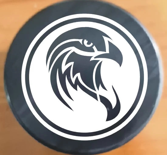 Logo Printed Professional Official Size Rubber Ice Hockey Puck