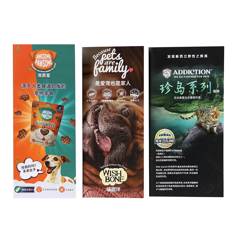 Advertising Promotional Brochure Leaflet Printing Bulk Printing Exhibition Flyer/Brochure/Booklet Printing Services