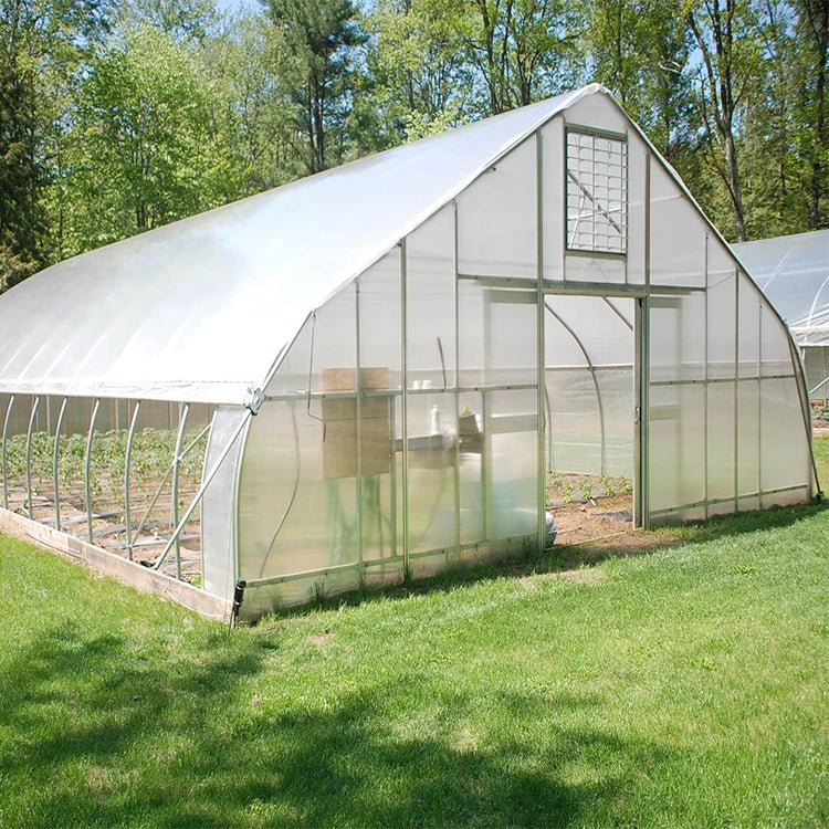 Skyplant Chinese Agricultural Winter Solar Greenhouse - Specially Designed for Winter AgricultureHot for Sale