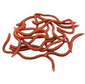 GS5210 Cheap Cheap Soft Lure Fishing Simulation Earthworm Red Worms Artificial Fishing Lure Tackle Lifelike Fishy