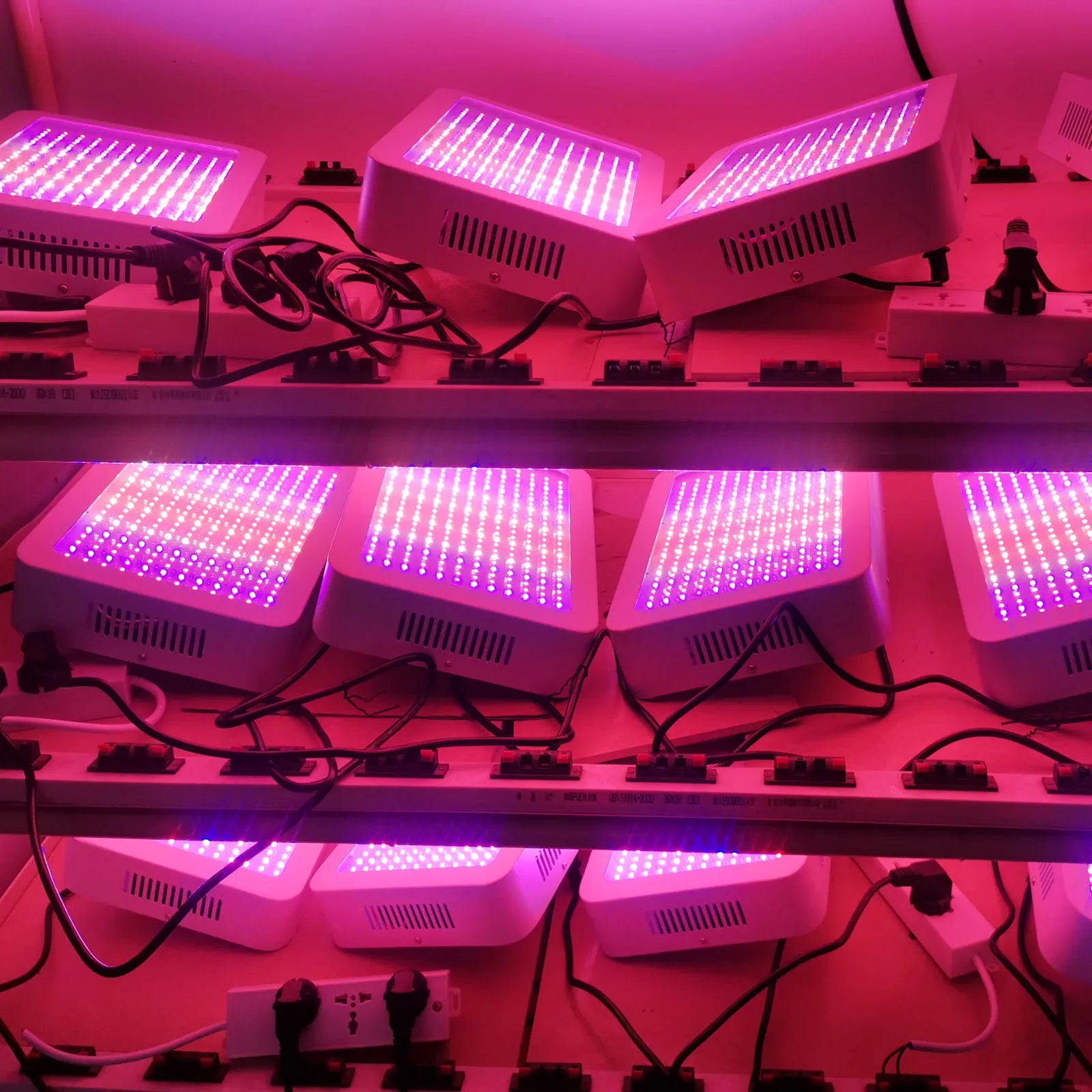 Liweida Indoor Garden Full Spectrum LED 600W/1000W/1500W Grow Light Cob Chip Aluminum Body IP44 for Bloom Seeds Flowers Europe