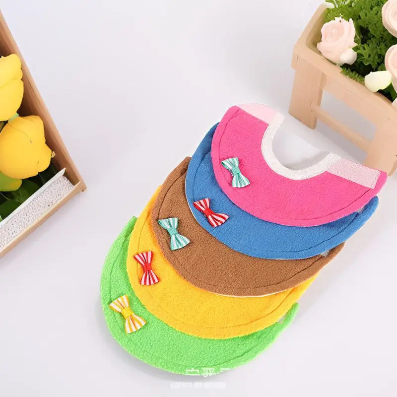 New Arrival Elizabethan Collar for Bird Recovery Solid Pattern Bird Parrot Neck Rings