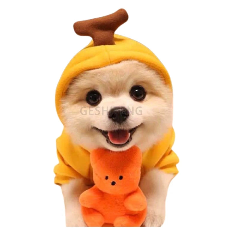 Hot Sale Winter Pet Sweater Warm Hooded Coat Dog Clothes for Small Dogs